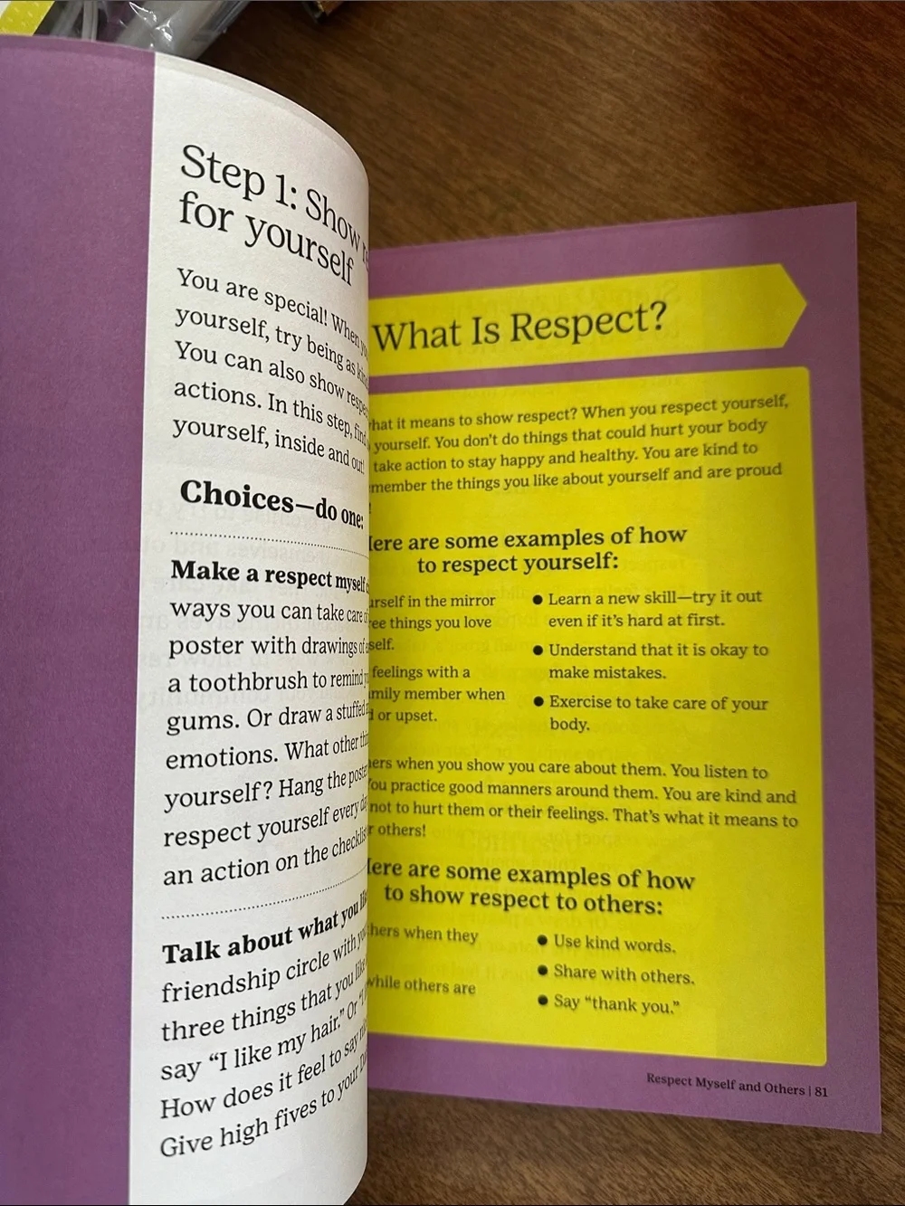Daisy Handbook - like new, only 2 pages out/used.